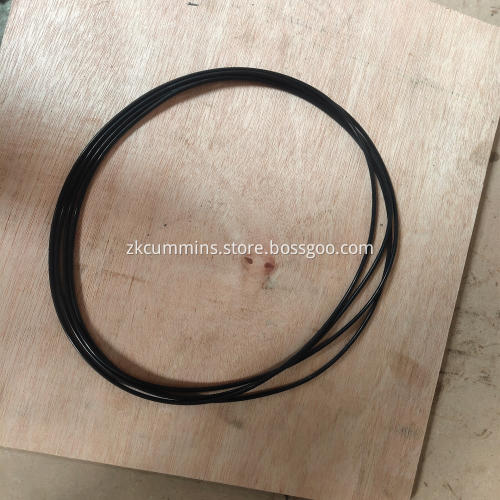 3000859 Cummins O Ring Seal